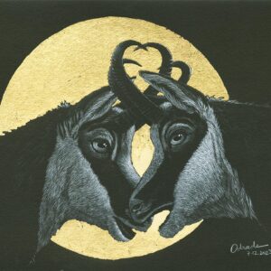 Chamois III